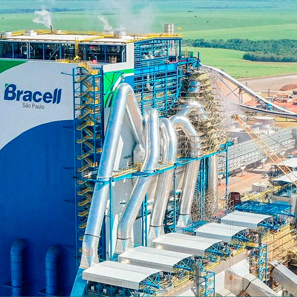 Parada Geral Case Bracell